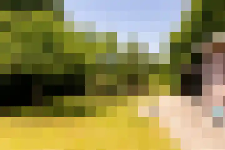 Dorpsweg 71 Spankeren thumbnail 19