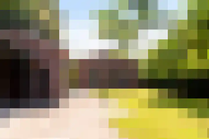 Dorpsweg 71 Spankeren thumbnail 20