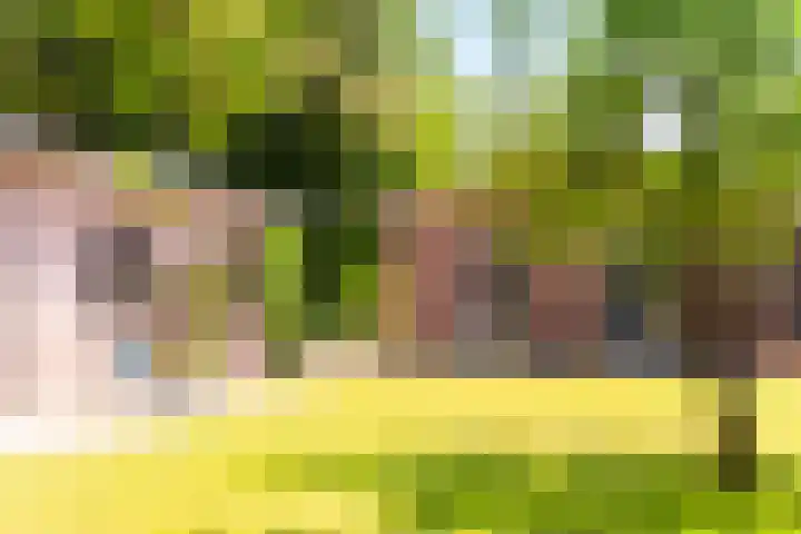 Dorpsweg 71 Spankeren thumbnail 21