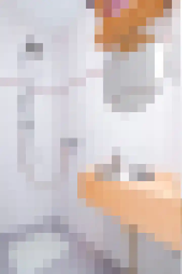 Dorpsweg 71 Spankeren thumbnail 25