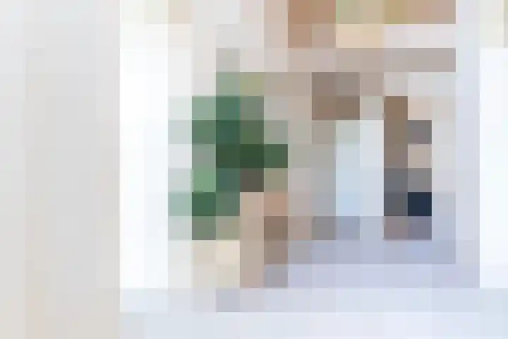 Dorpsweg 71 Spankeren thumbnail 8