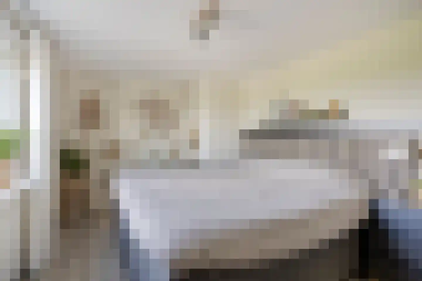 Dorpsweg 72 Oudendijk thumbnail 31