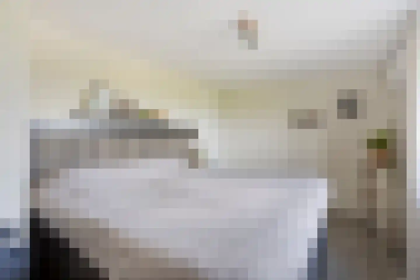 Dorpsweg 72 Oudendijk thumbnail 32