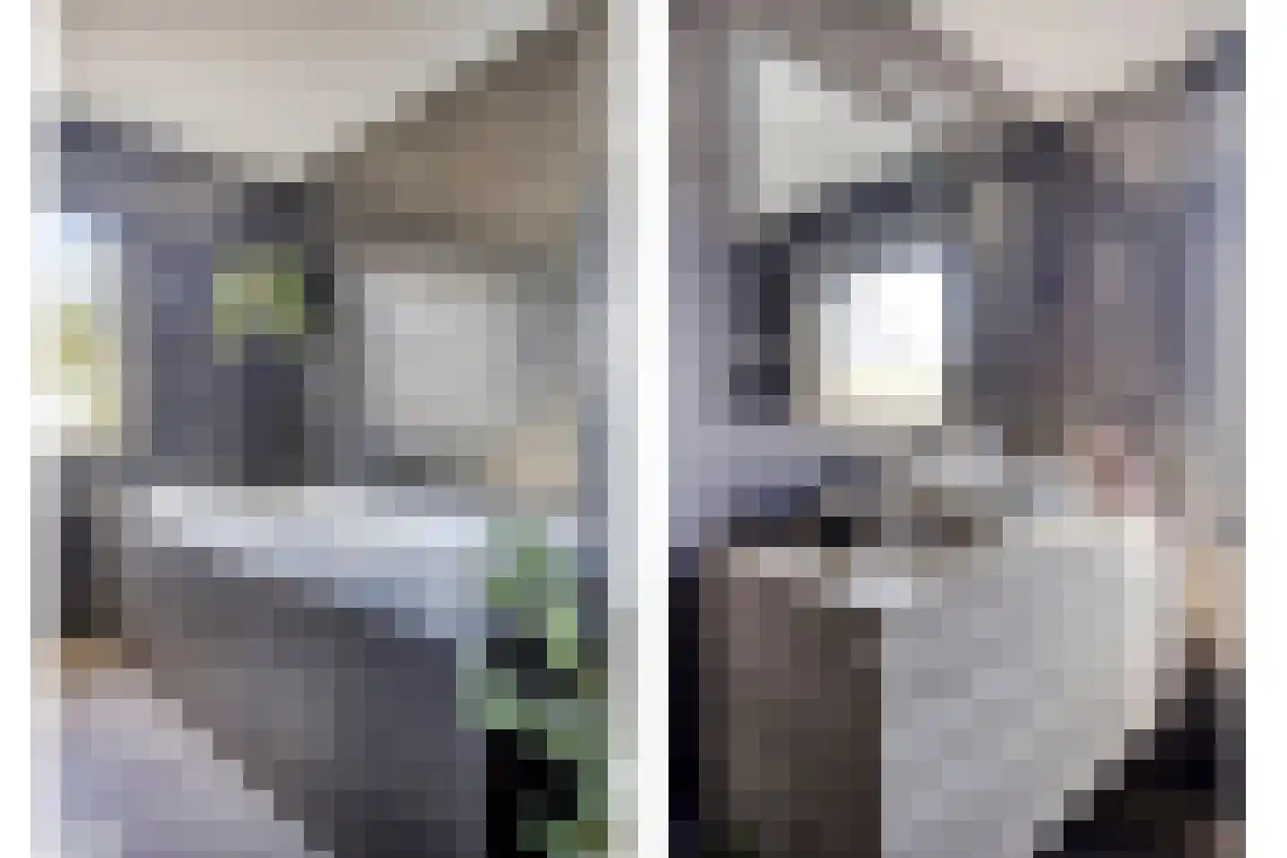 Dorpsweg 72 Oudendijk thumbnail 33