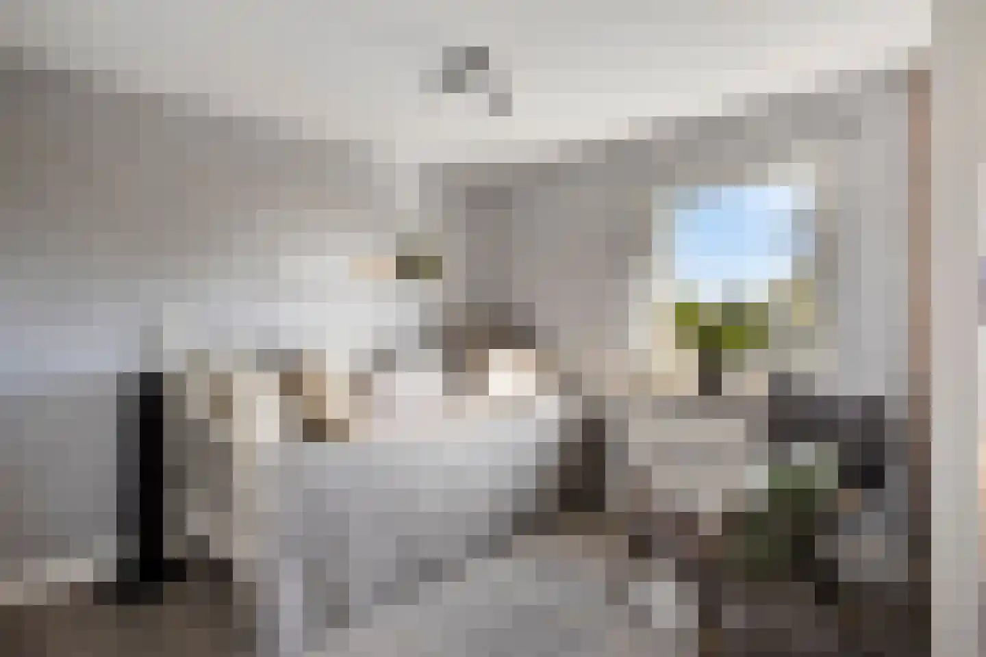 Dorpsweg 72 Oudendijk thumbnail 36