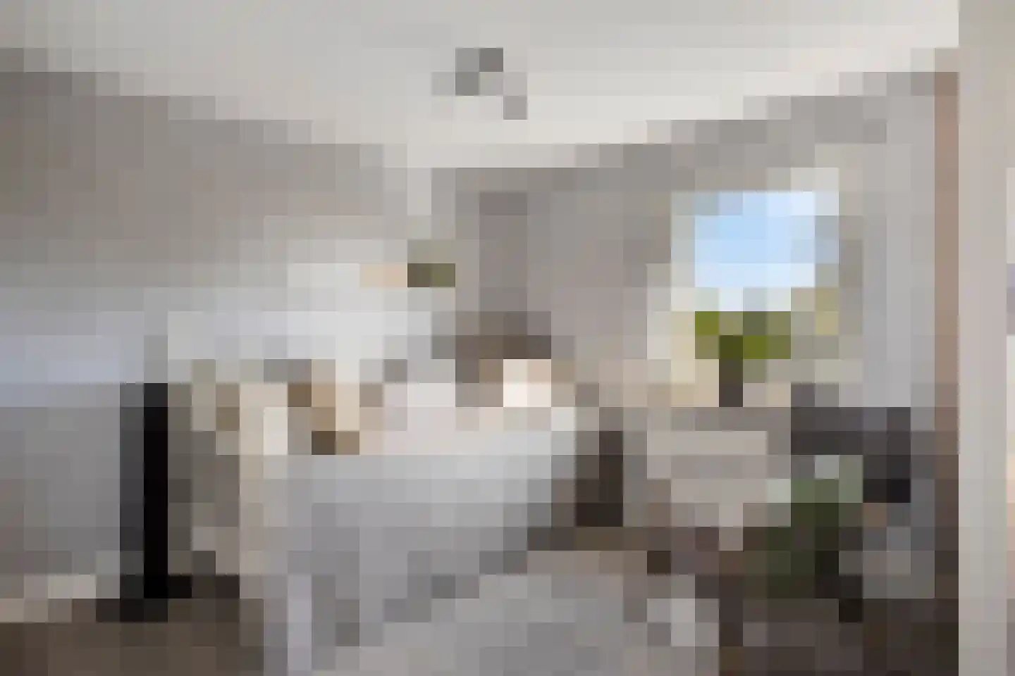 Dorpsweg 72 Oudendijk thumbnail 36