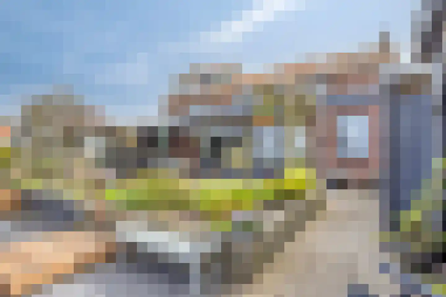Dorpsweg 72 Oudendijk thumbnail 43