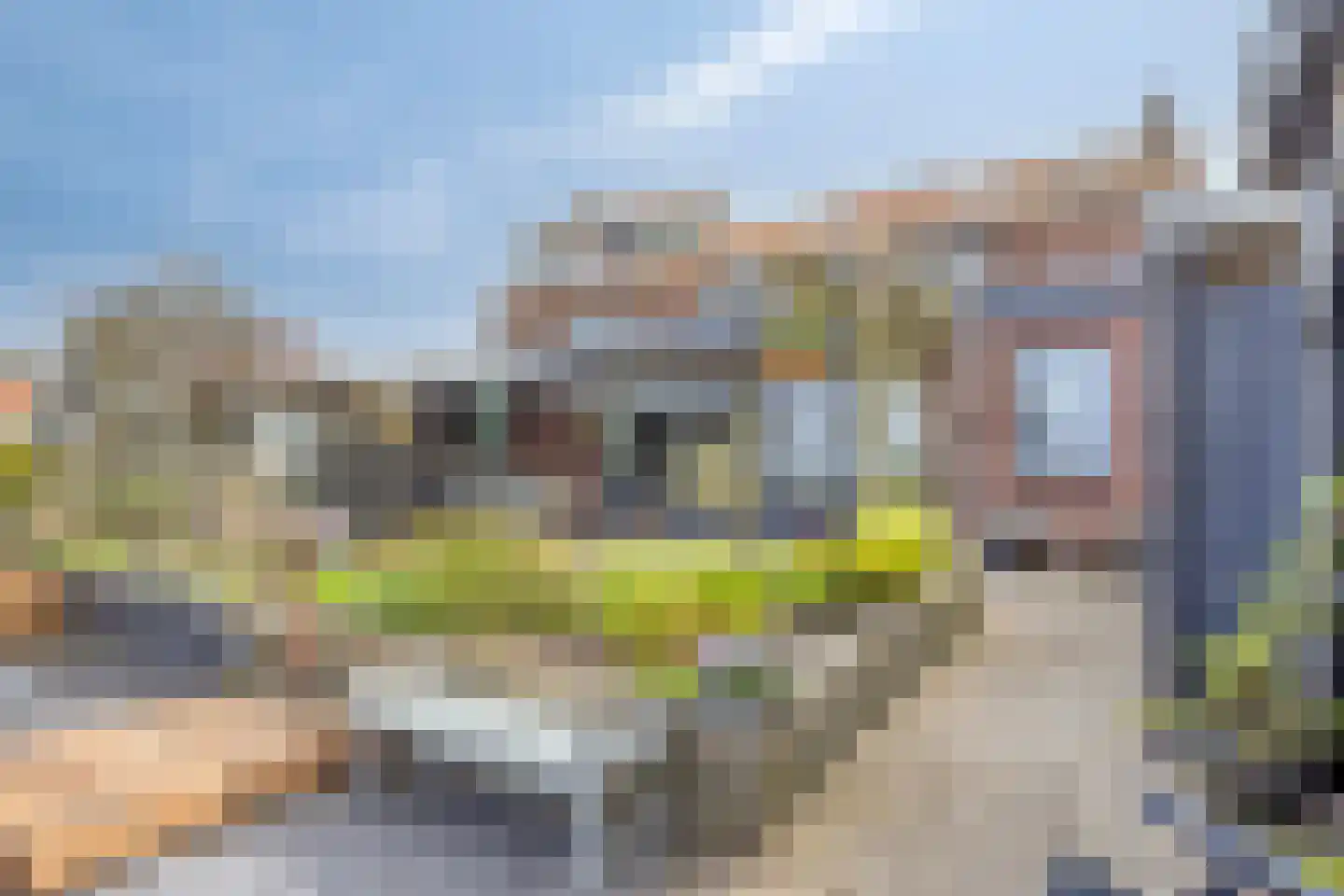Dorpsweg 72 Oudendijk thumbnail 43