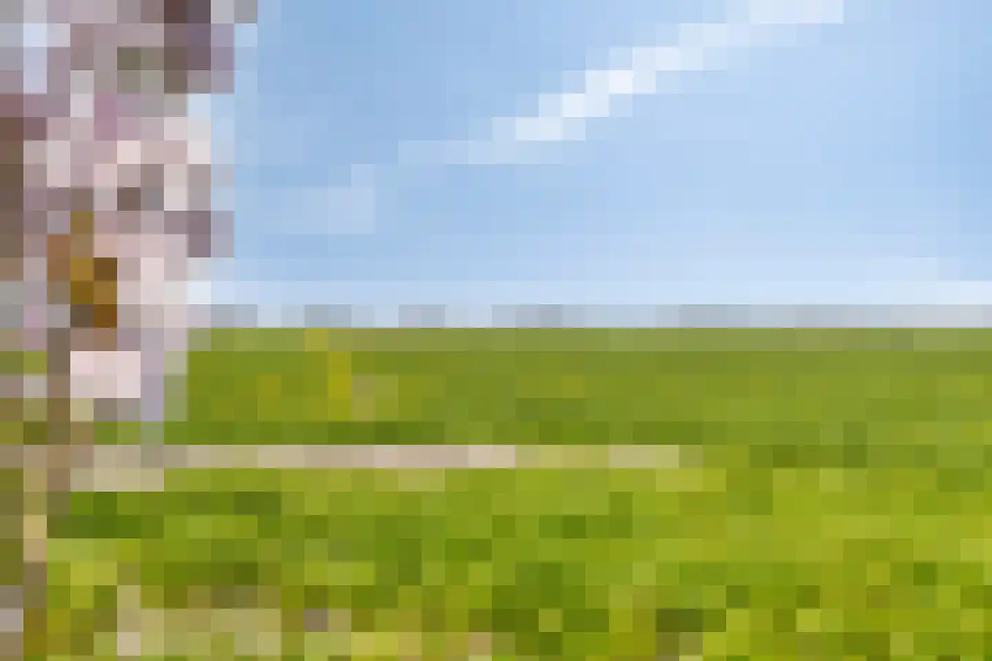Dorpsweg 72 Oudendijk thumbnail 47
