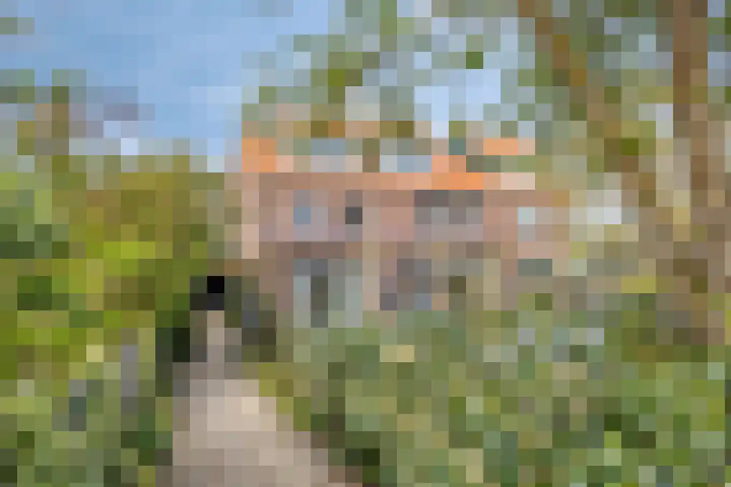 Dorpsweg 72 Oudendijk thumbnail 6