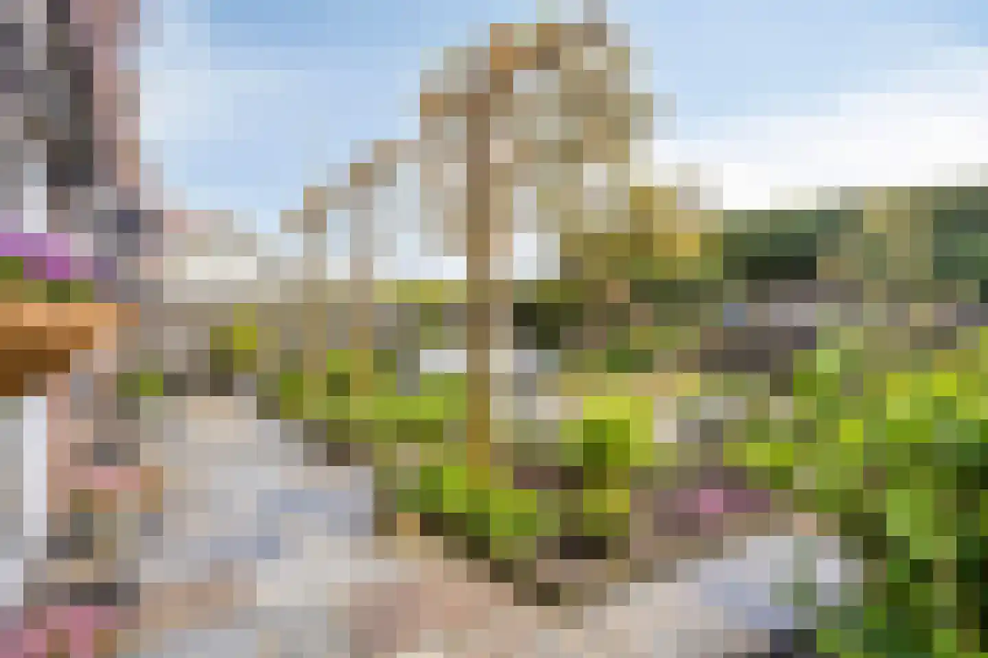 Dorpsweg 72 Oudendijk thumbnail 9