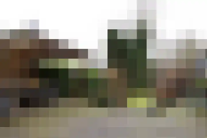 Dorpsweg 75 Hattem thumbnail 37