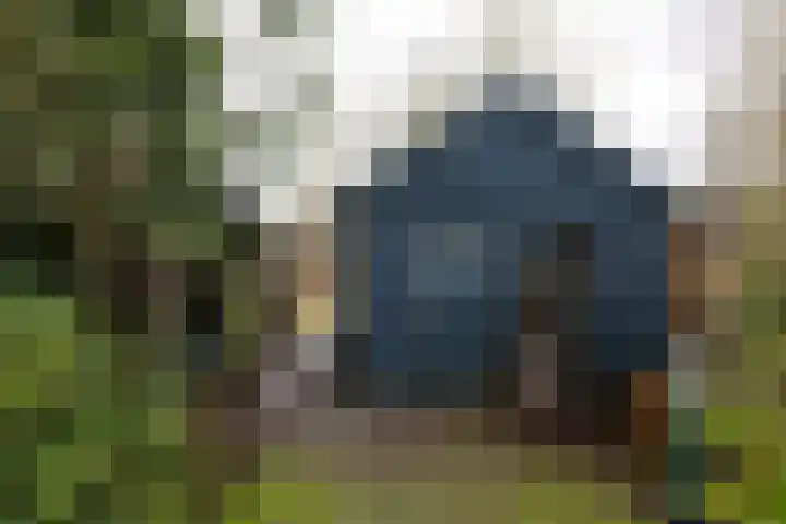 Dorpsweg 75 Hattem thumbnail 39