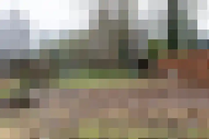 Dorpsweg 75 Hattem thumbnail 42