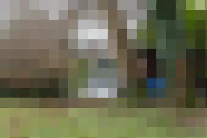 Dorpsweg 75 Hattem thumbnail 43