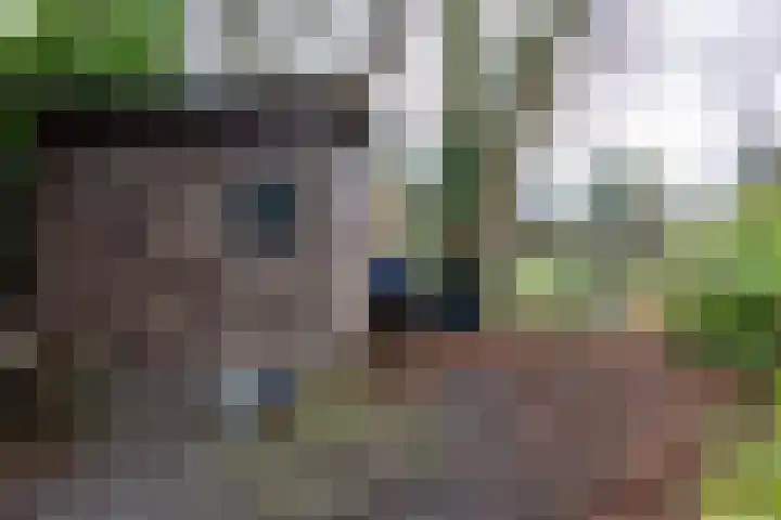 Dorpsweg 75 Hattem thumbnail 45
