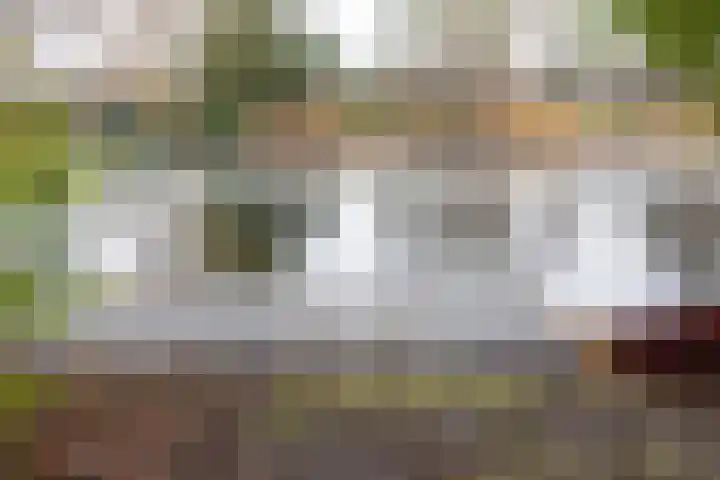 Dorpsweg 75 Hattem thumbnail 46