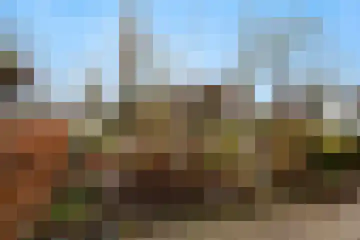 Dorpsweg 75 Hattem thumbnail 5
