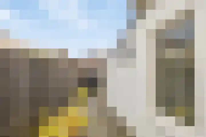 Dorpsweg 79 IJsselmuiden thumbnail 23
