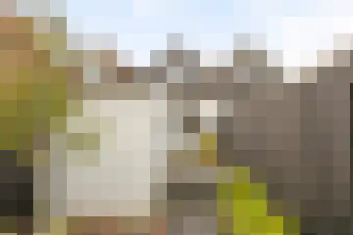 Dorpsweg 79 IJsselmuiden thumbnail 25
