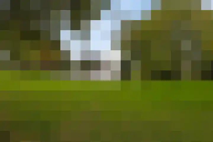Dorpsweg 79 IJsselmuiden thumbnail 31
