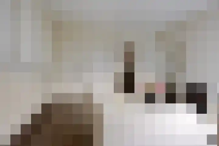 Dorpsweg 79 IJsselmuiden thumbnail 7