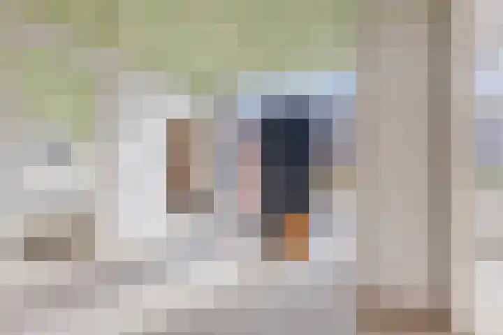 Dorpsweg 8 Onnen thumbnail 11