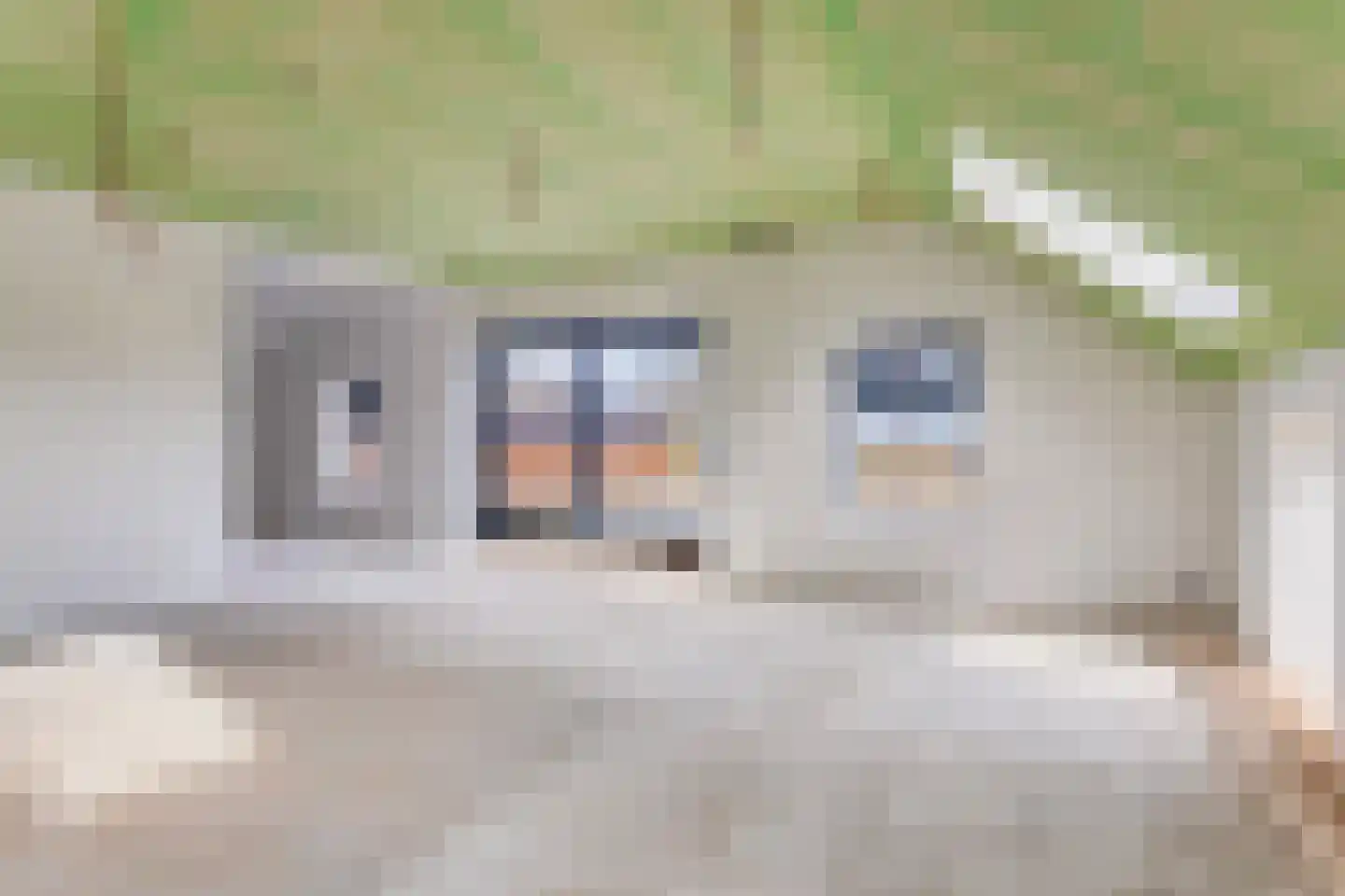 Dorpsweg 8 Onnen thumbnail 17