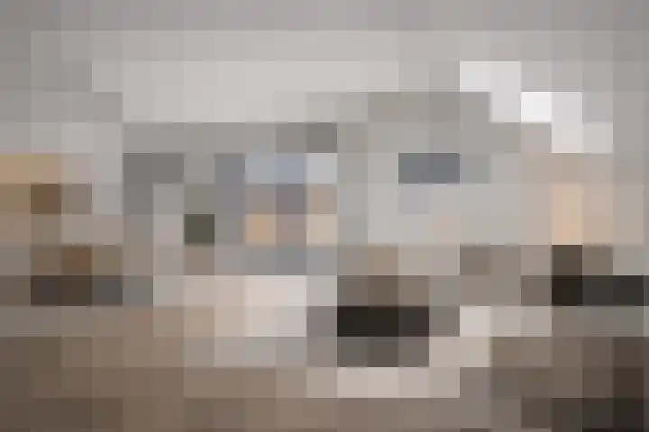 Dorpsweg 8 Onnen thumbnail 18