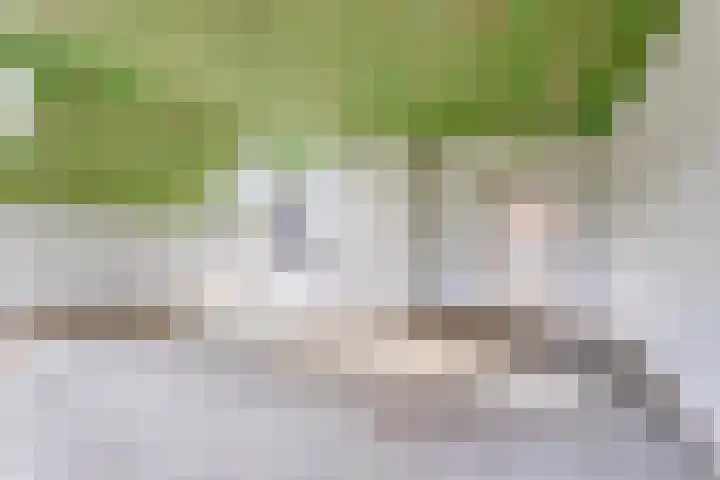 Dorpsweg 8 Onnen thumbnail 19