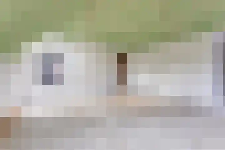 Dorpsweg 8 Onnen thumbnail 20