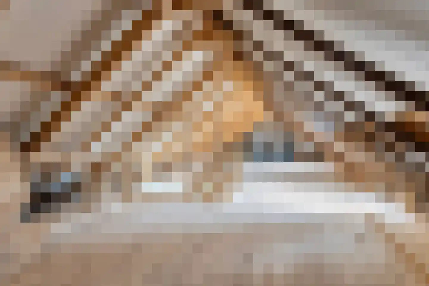 Dorpsweg 8 Onnen thumbnail 35