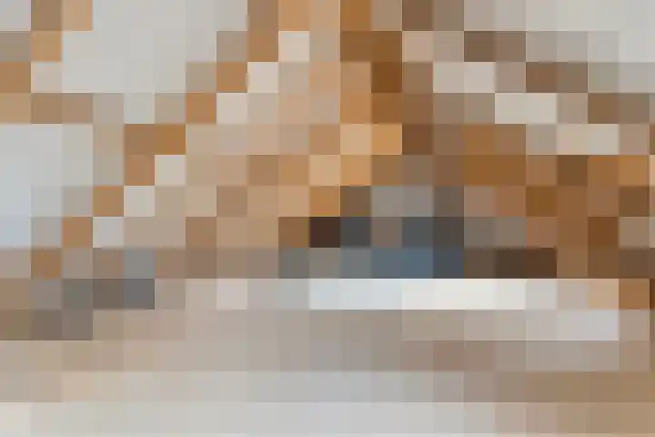 Dorpsweg 8 Onnen thumbnail 36