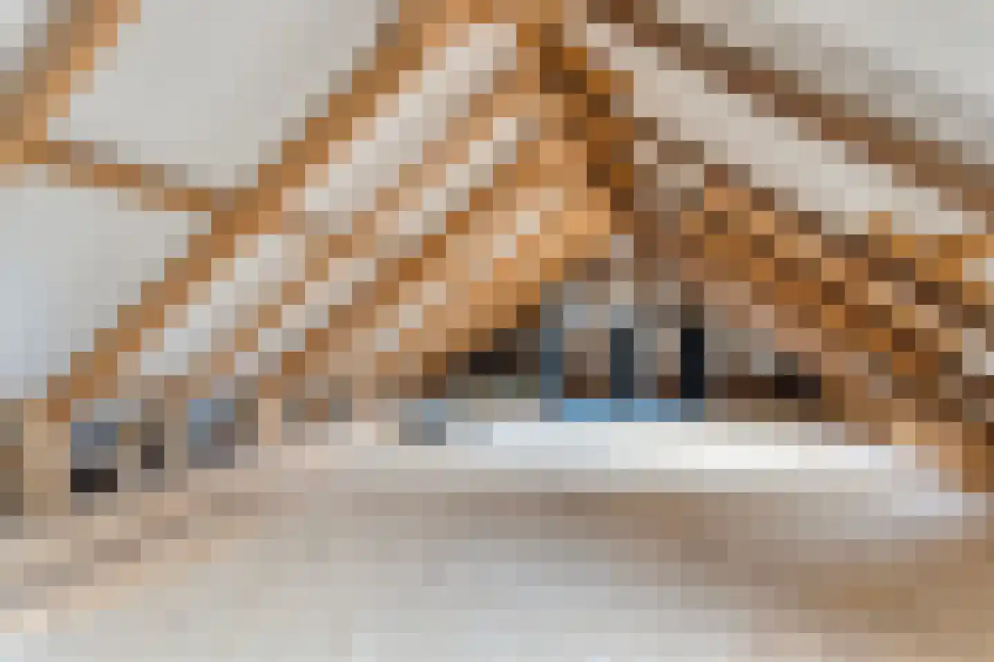 Dorpsweg 8 Onnen thumbnail 36