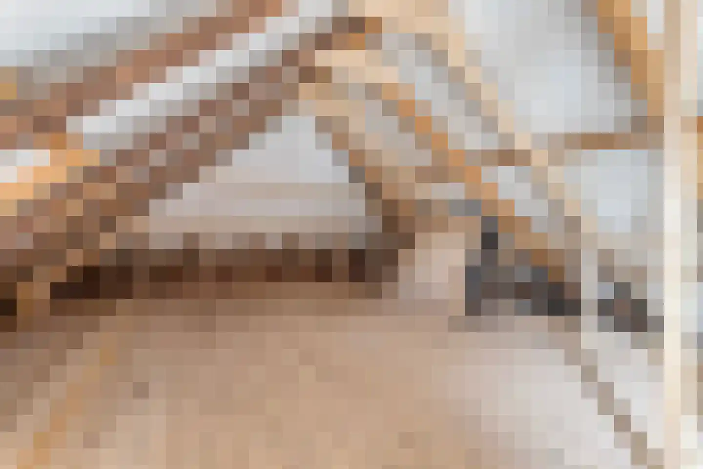 Dorpsweg 8 Onnen thumbnail 38