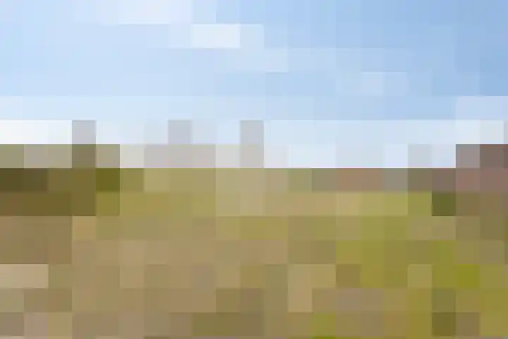 Dorpsweg 8 Onnen thumbnail 40