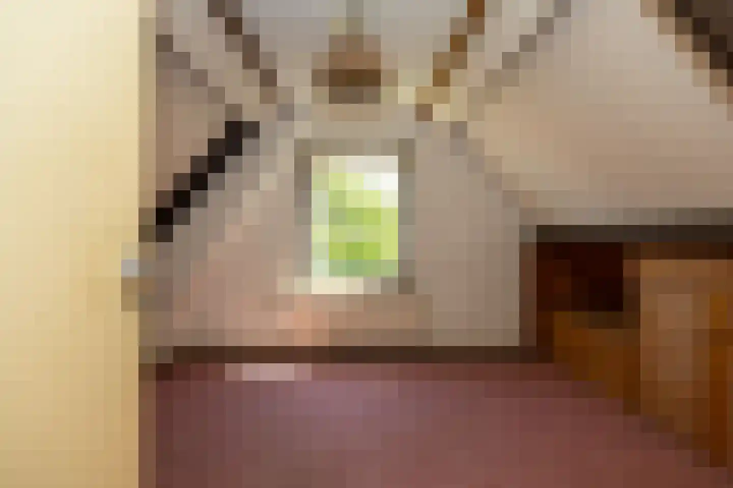 Dorpsweg 8 Oudendijk thumbnail 20