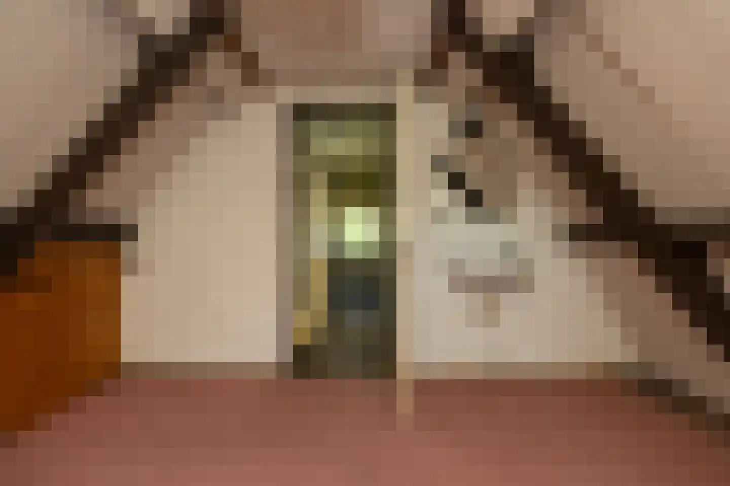 Dorpsweg 8 Oudendijk thumbnail 21