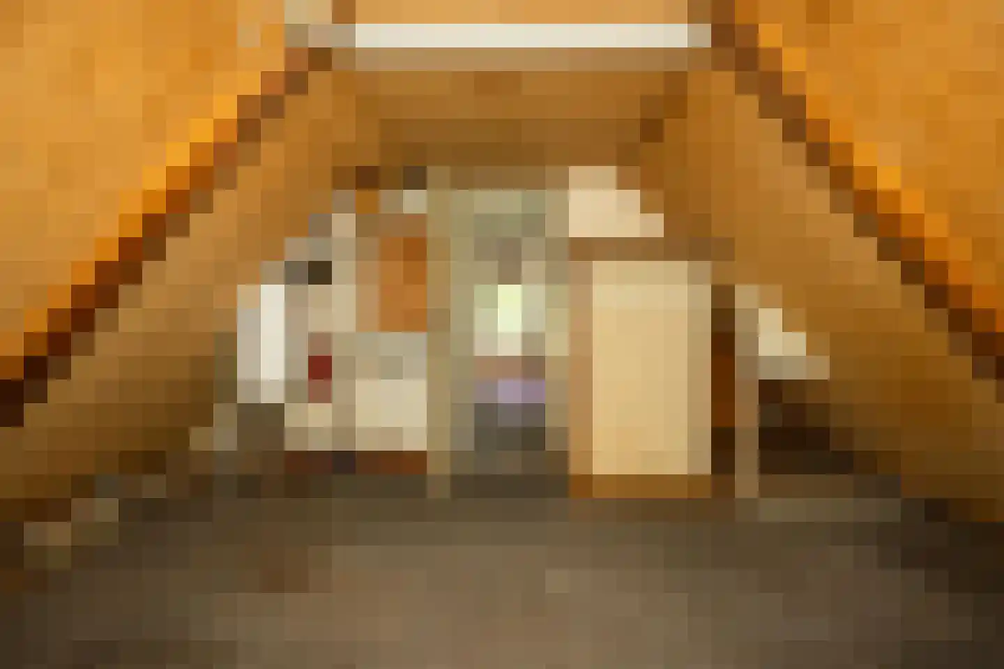 Dorpsweg 8 Oudendijk thumbnail 22