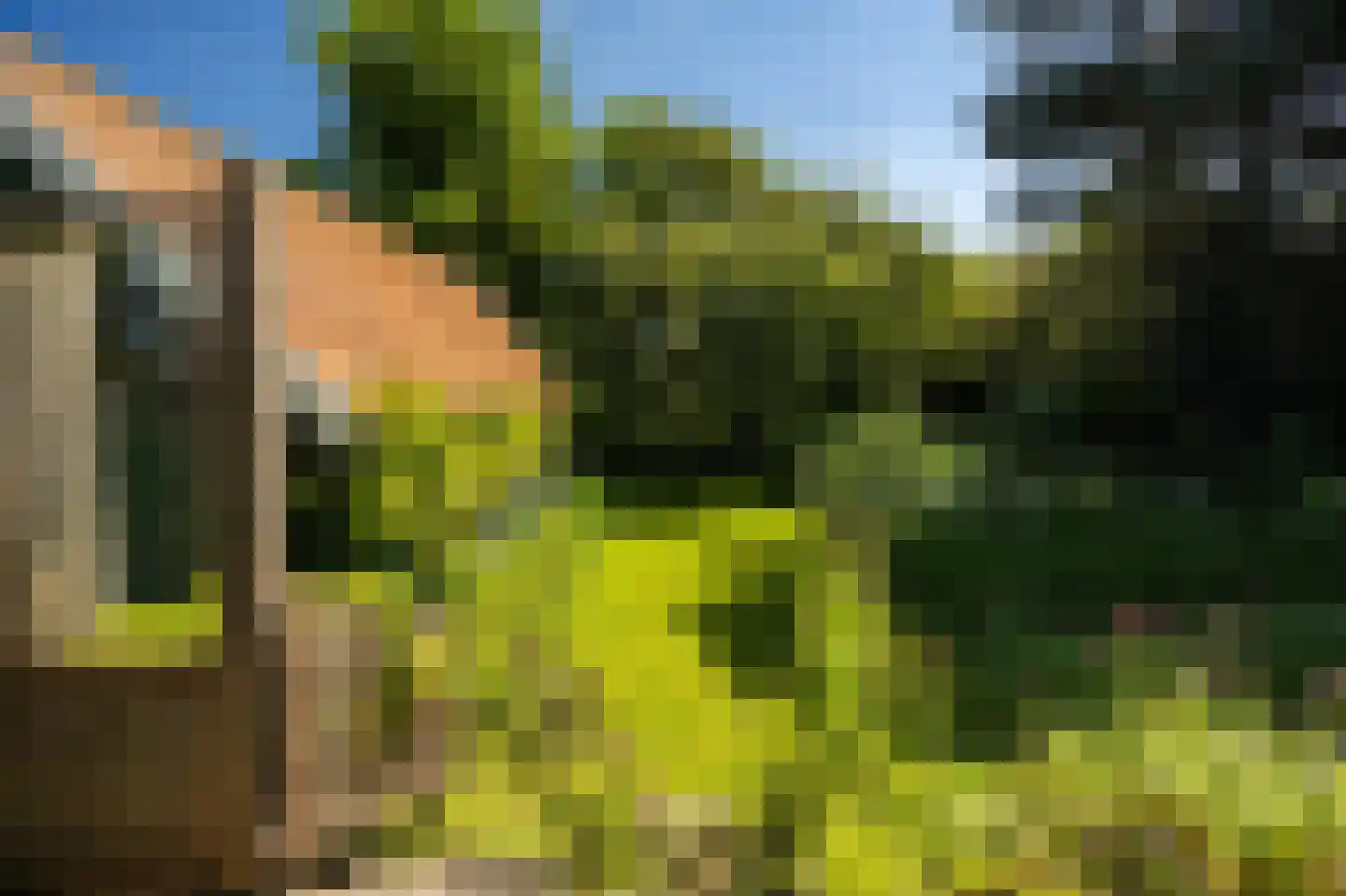 Dorpsweg 8 Oudendijk thumbnail 24