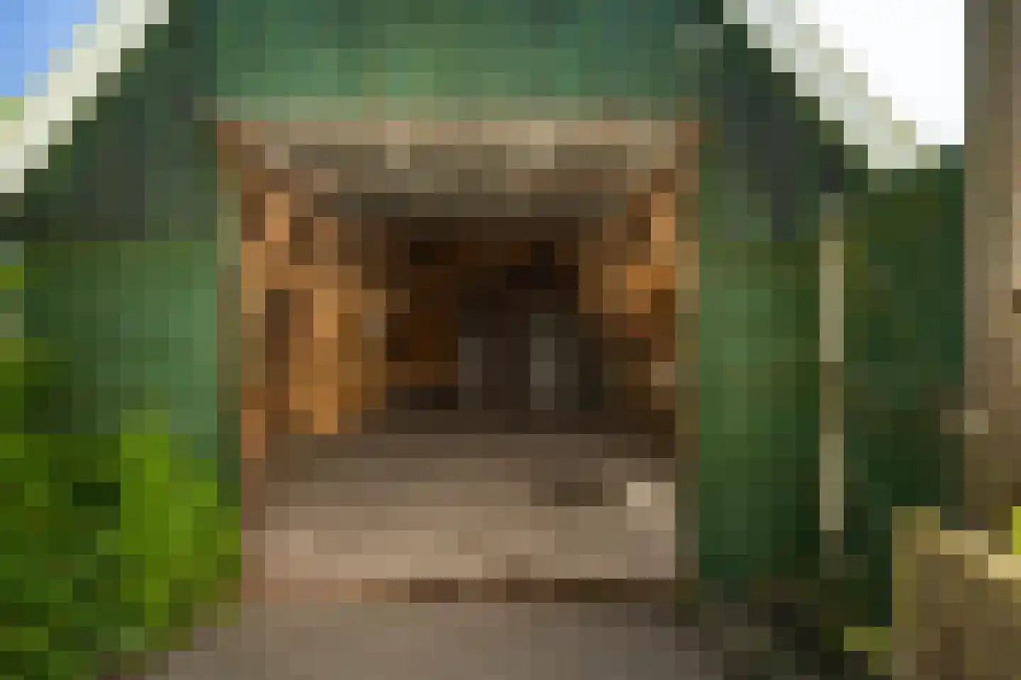 Dorpsweg 8 Oudendijk thumbnail 26