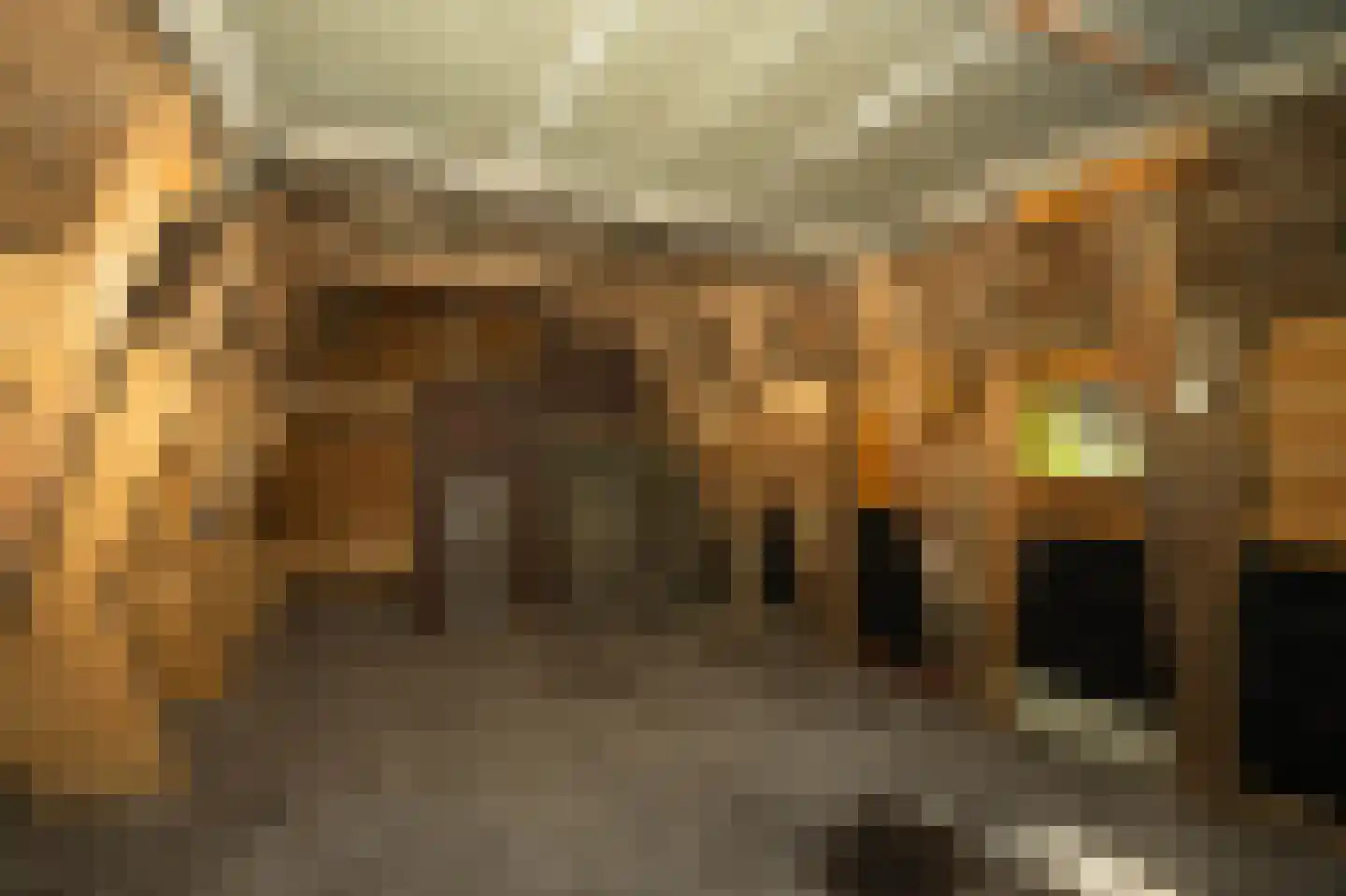 Dorpsweg 8 Oudendijk thumbnail 27