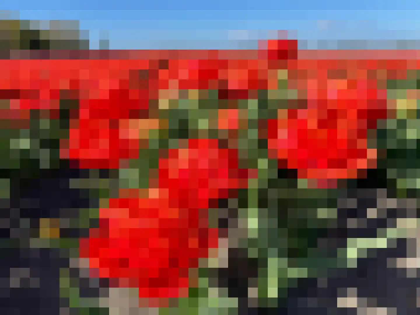 Dorpsweg 8 Oudendijk thumbnail 31
