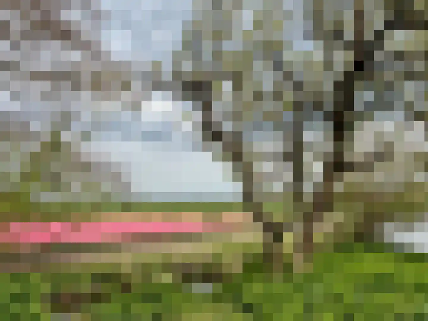 Dorpsweg 8 Oudendijk thumbnail 32