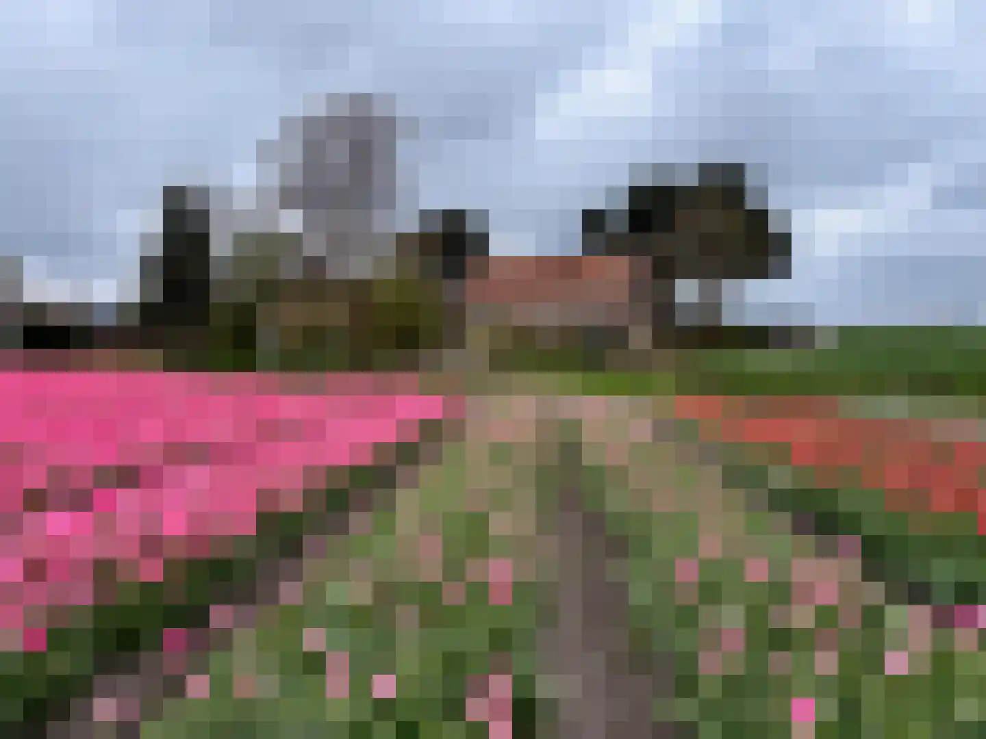 Dorpsweg 8 Oudendijk thumbnail 35