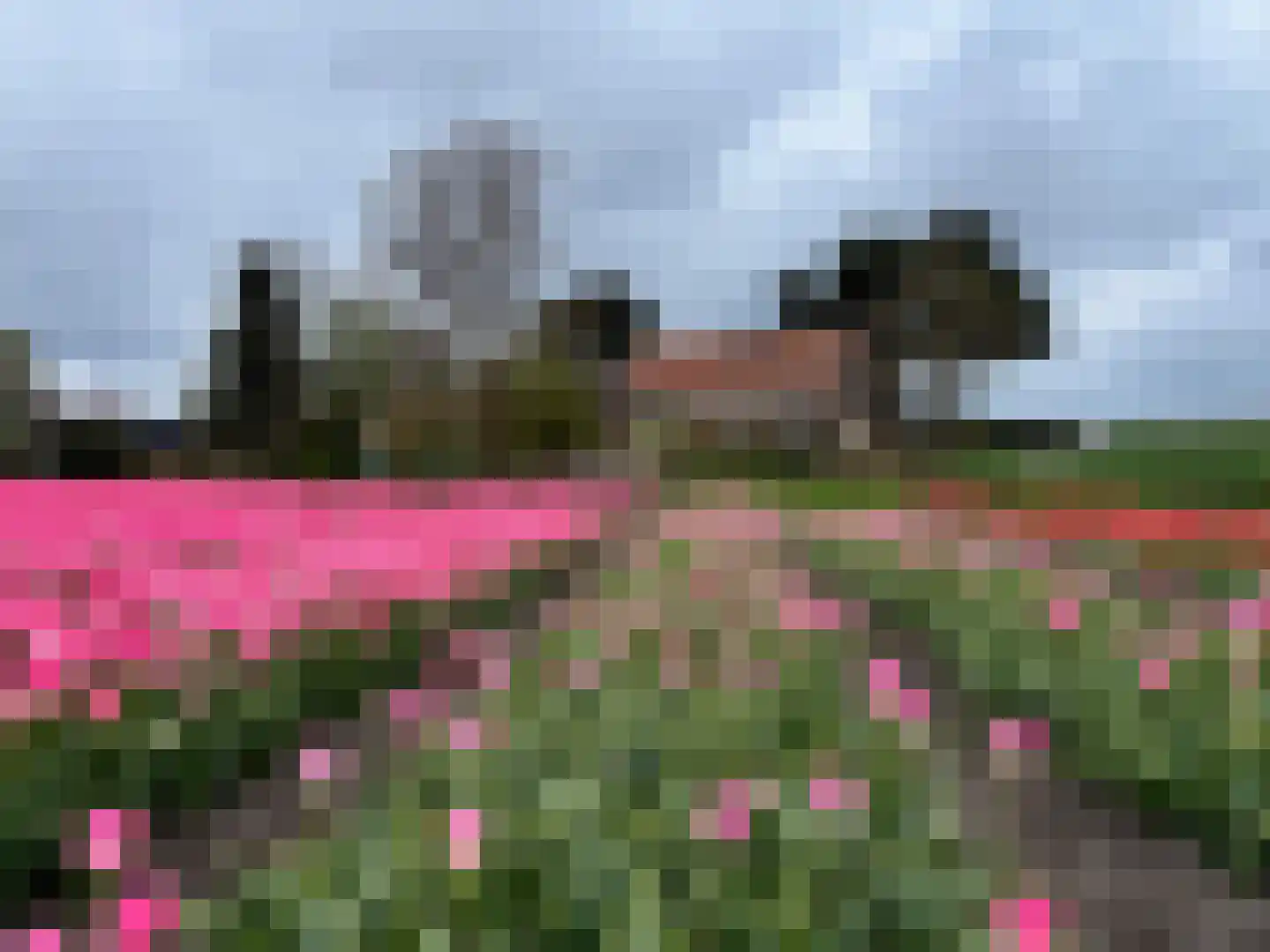 Dorpsweg 8 Oudendijk thumbnail 36