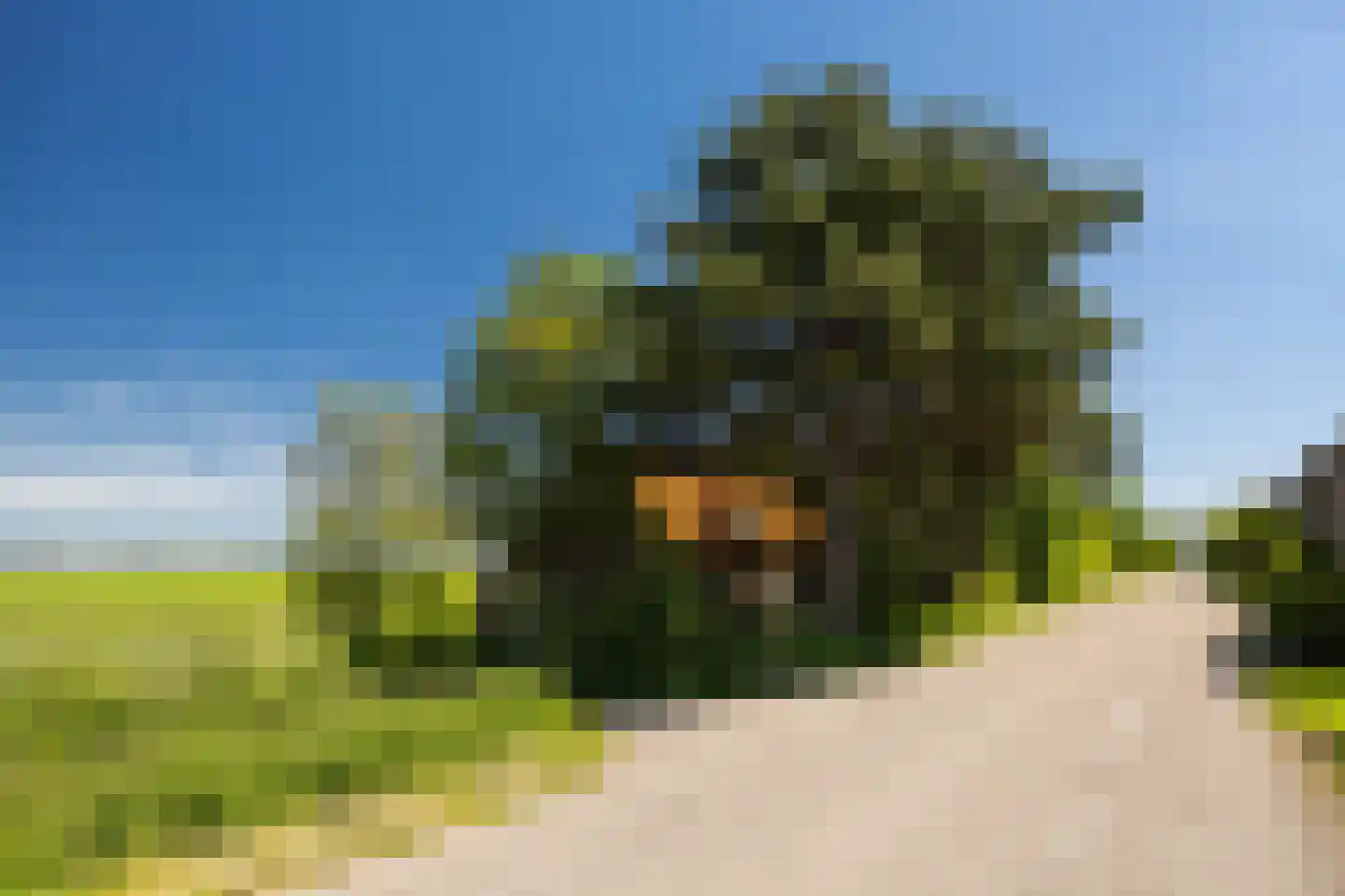 Dorpsweg 8 Oudendijk thumbnail 4
