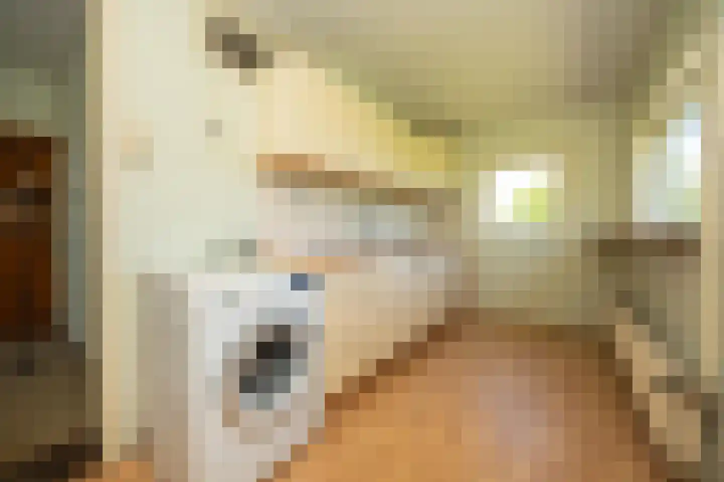 Dorpsweg 8 Oudendijk thumbnail 9