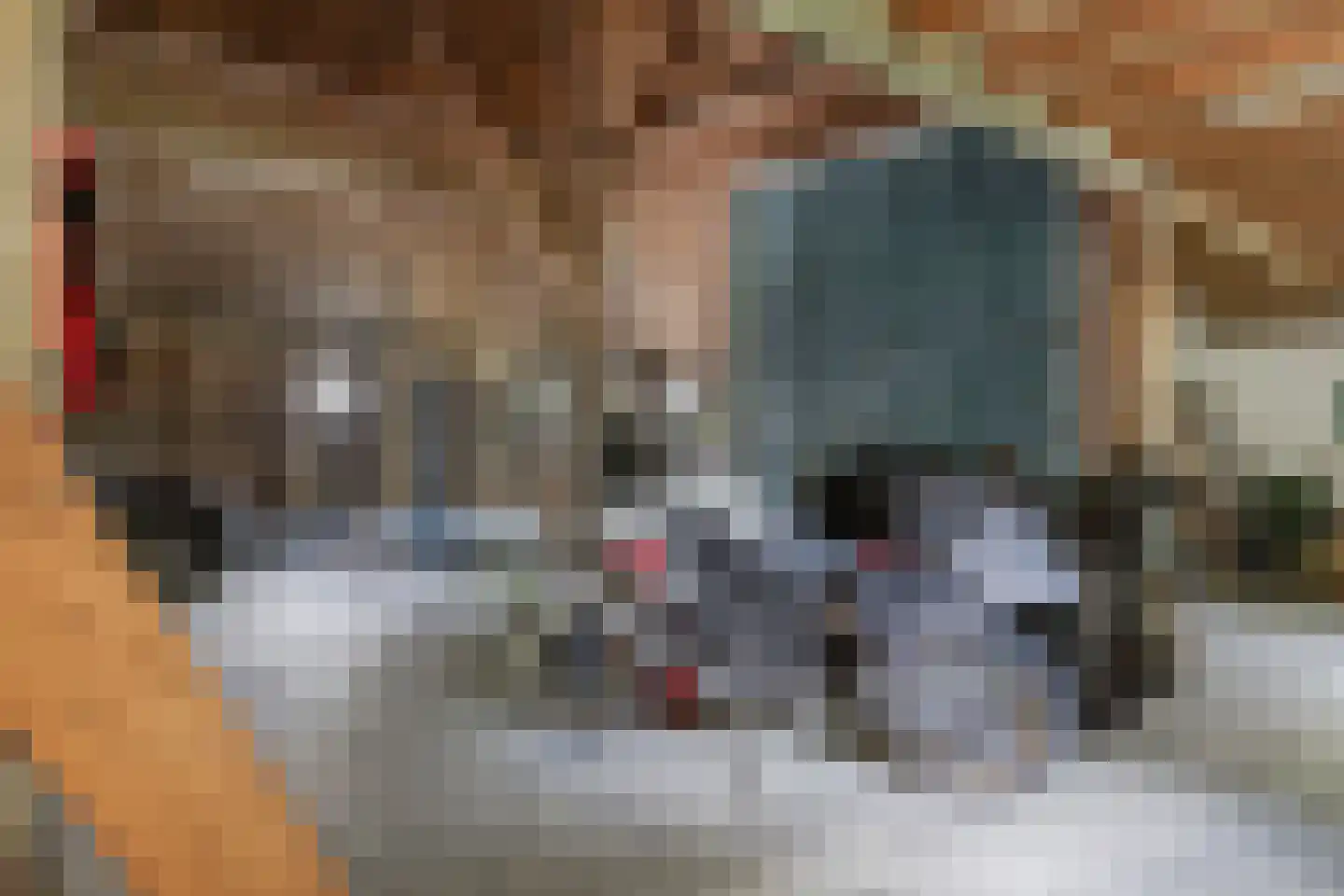 Dorpsweg 81 Twisk thumbnail 28