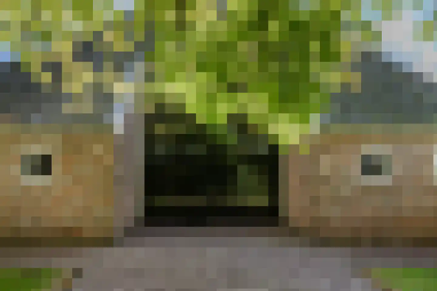 Dorpsweg 81 Twisk thumbnail 31